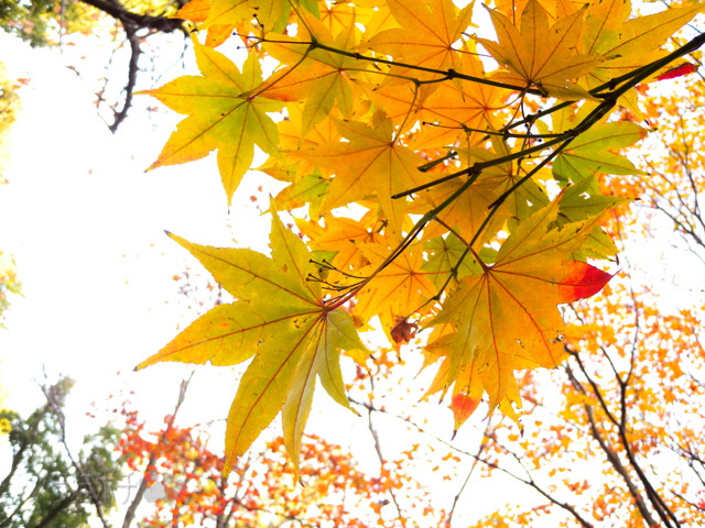 DSCN9864.jpg