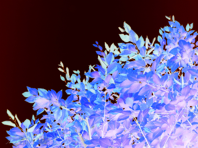 DSCN9865.jpg