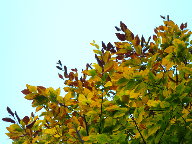 DSCN9865_2.jpg