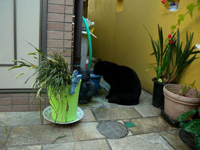 DSCN9892.jpg