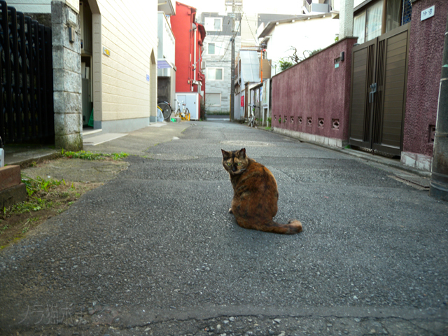 DSCN9894.jpg