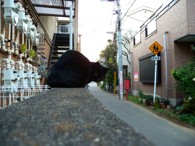 DSCN9897.jpg