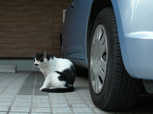 DSCN9905.jpg