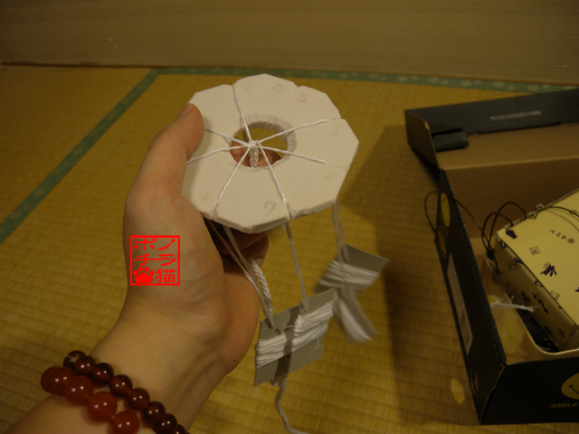 DSCN9905.jpg
