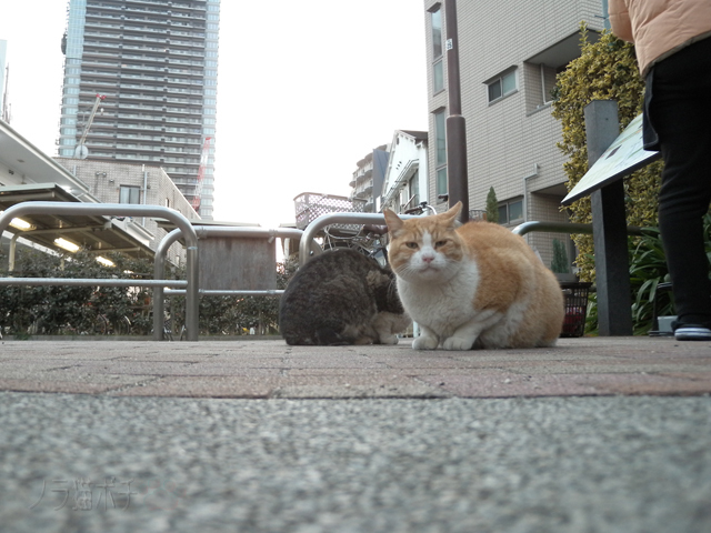 DSCN9908.jpg
