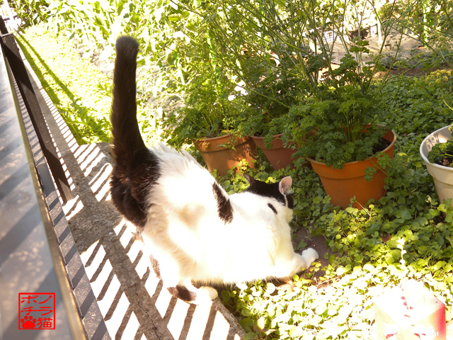 DSCN9922.jpg