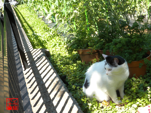 DSCN9923.jpg