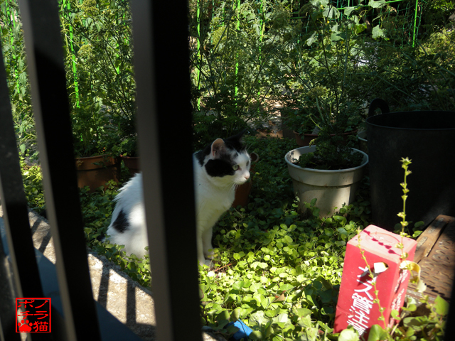 DSCN9925.jpg