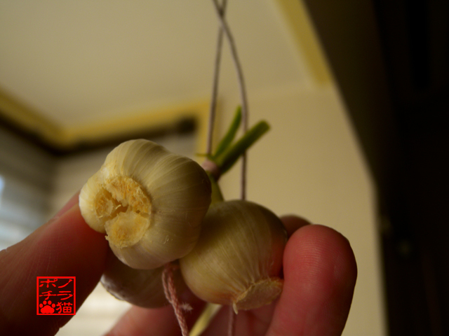 DSCN9927.jpg