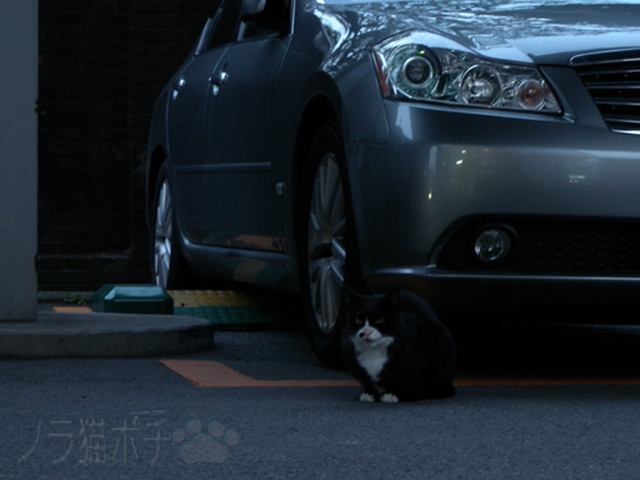 DSCN9928.jpg