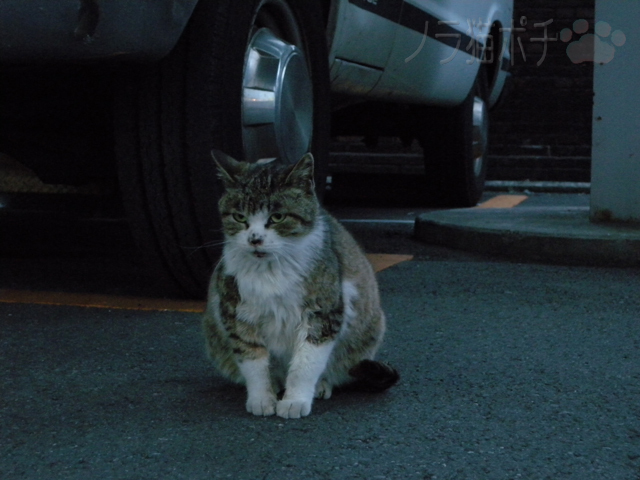 DSCN9939.jpg