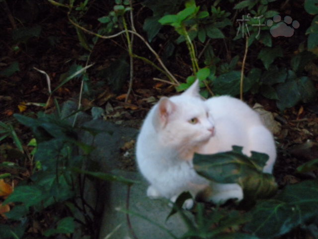 DSCN9941.jpg