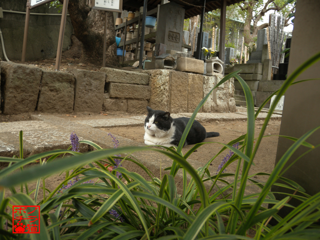 DSCN9944.jpg