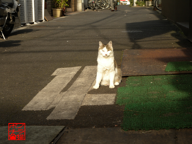 DSCN9960.jpg