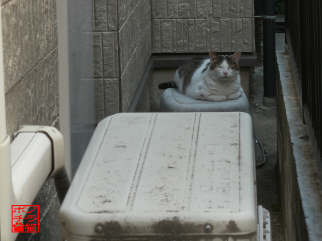 DSCN9966.jpg
