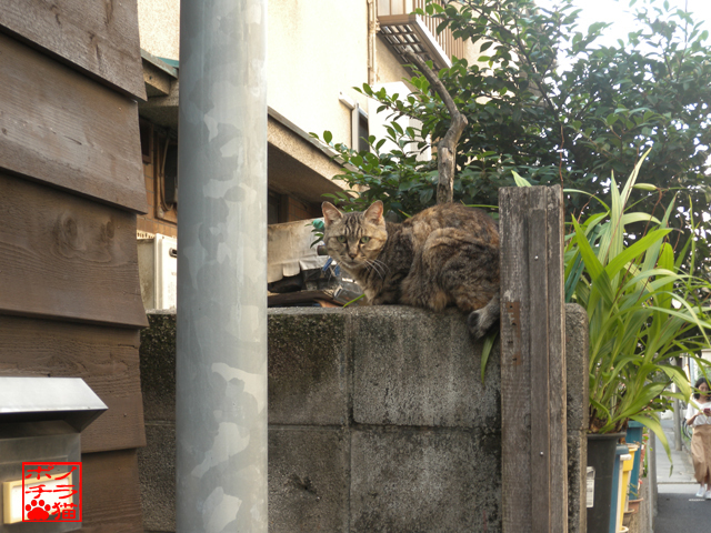 DSCN9968.jpg