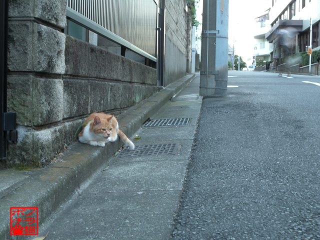 DSCN9987.jpg