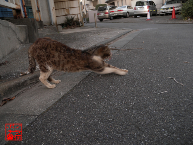 DSCN9989.jpg