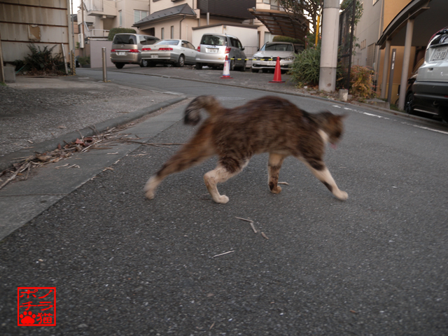 DSCN9990.jpg
