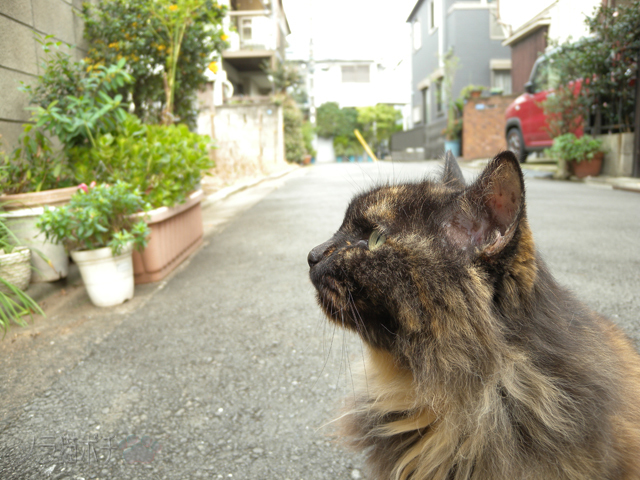 DSCN9996.jpg
