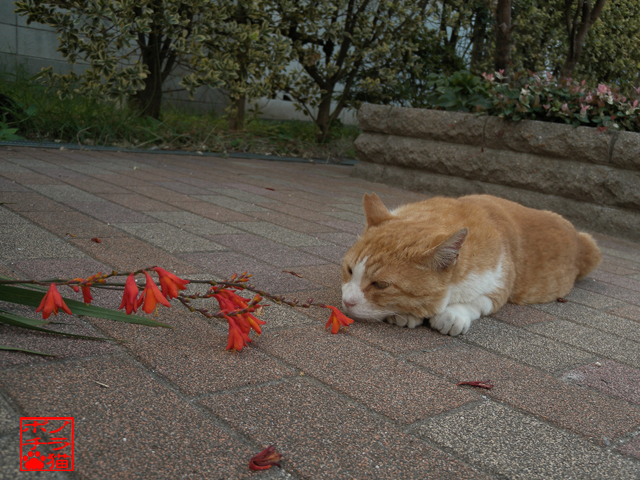 DSCN9996.jpg