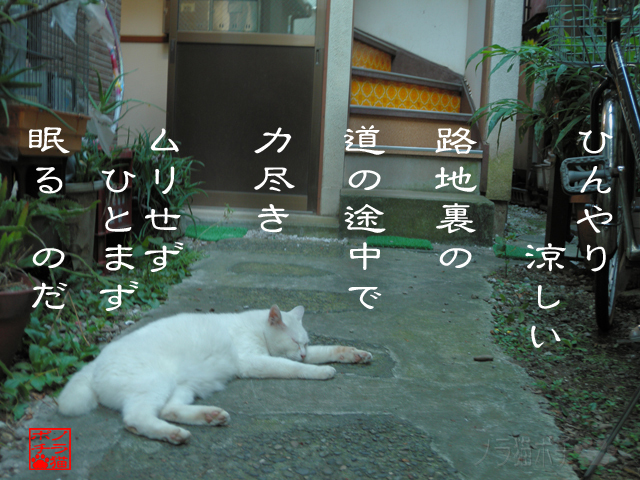 あとチョイだけども無理なのにゃん.jpg