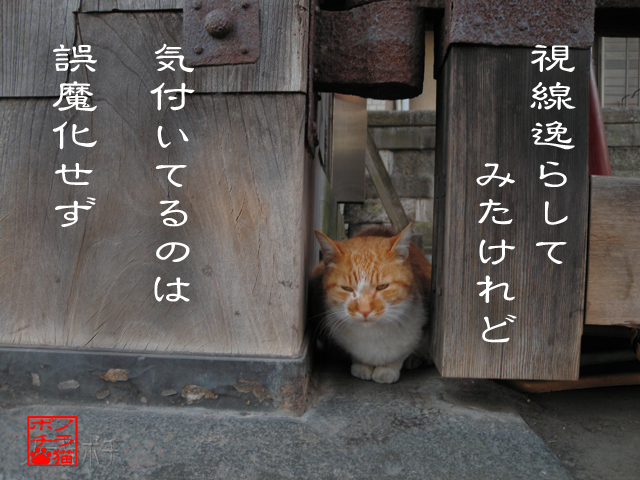 お互いとっくに丸見えにゃん.jpg