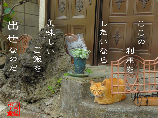 ここはオイラの縄張りにゃん.jpg