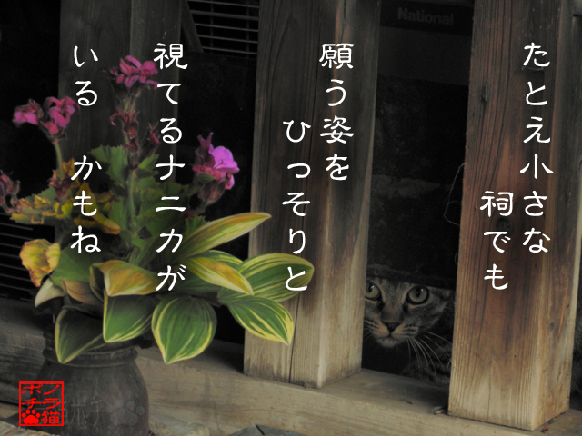 その後は好きかどうかと気分だにゃん.jpg