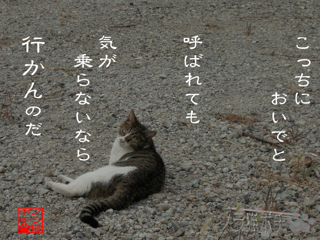 そんな気分じゃないんだにゃん.jpg