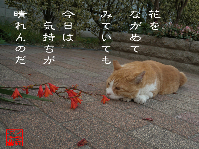 そんな気分の日もあるにゃん.jpg