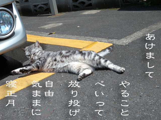 たまにはいいにゃん.jpg