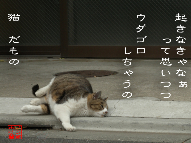 だってやたらと眠いのにゃん.jpg