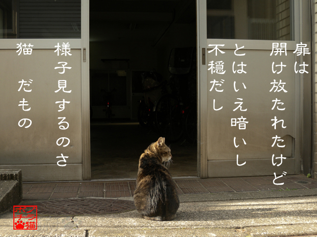 だって外のが明るいにゃん.jpg