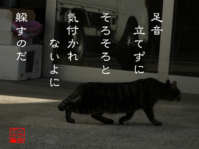 にくきゅう抜き足差し足にゃん.jpg