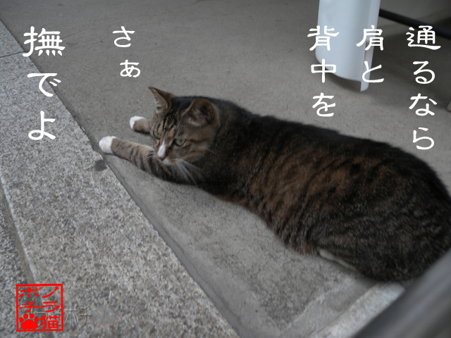 ひとまずほぐして行けなのにゃん.jpg