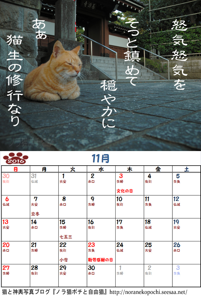 ６周年企画 ノラ猫ポチと自由猫2016年カレンダー １１月 ぼやき写真