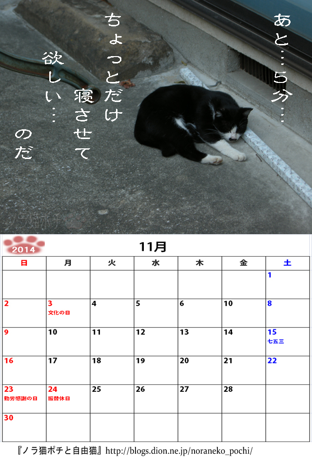 ４周年企画 ノラ猫ポチと自由猫2014年カレンダー １１月 つぶやき