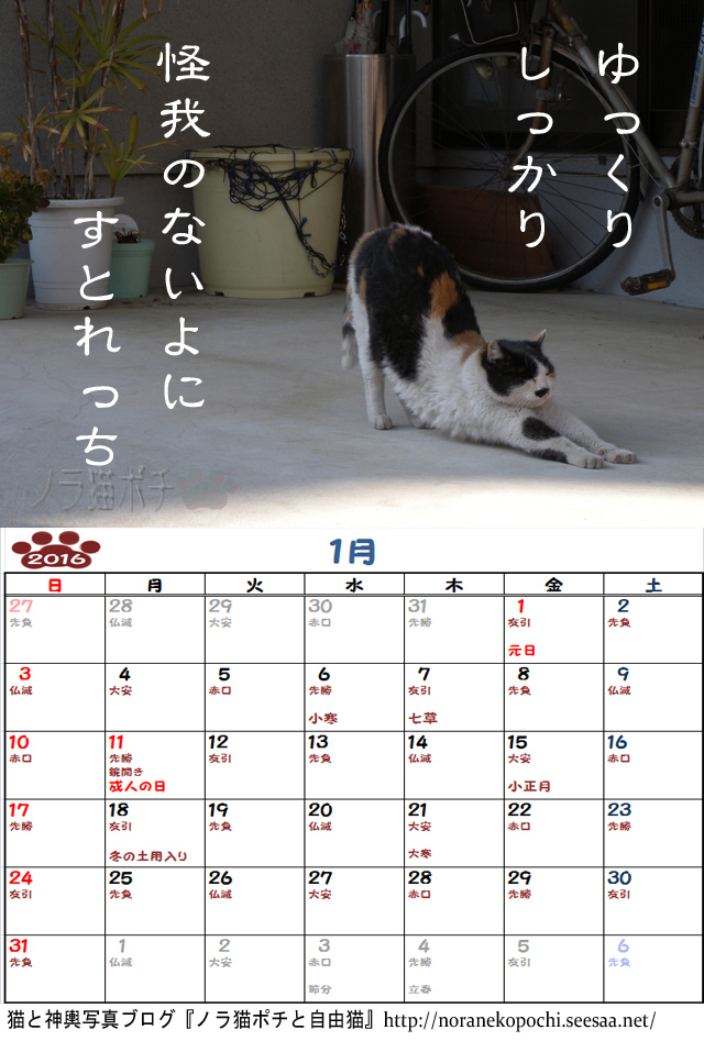 ６周年企画 ノラ猫ポチと自由猫2016年カレンダー １月 ぼやき写真