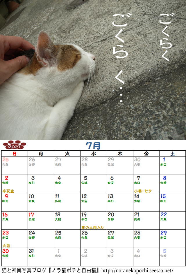 ７周年企画 ノラ猫ポチと自由猫2017年カレンダー ７月 ぼやき写真