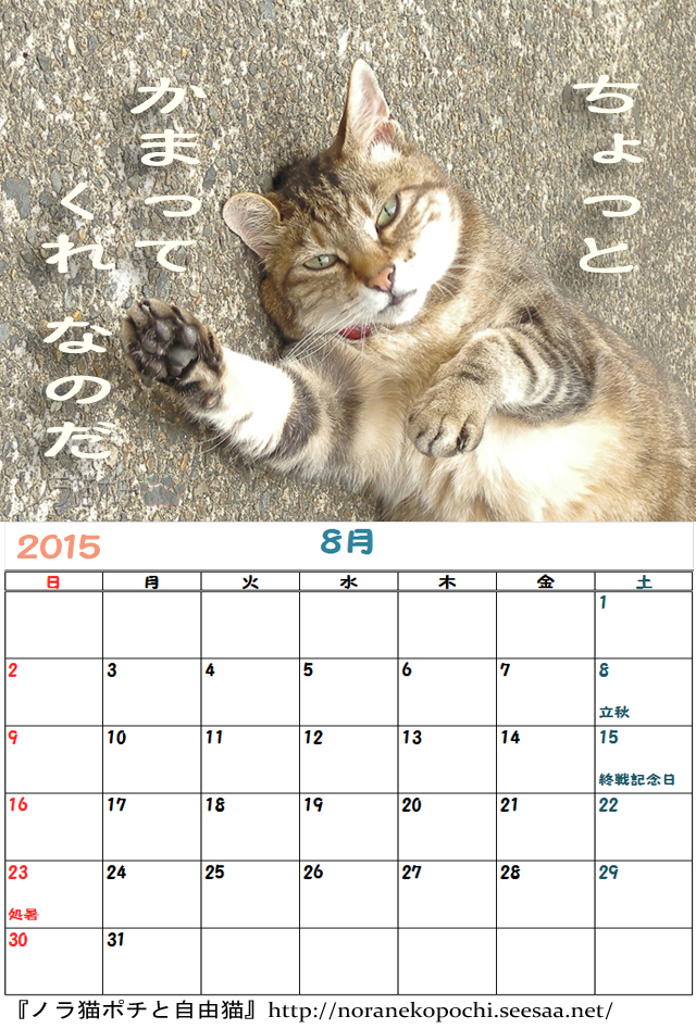 ５周年企画 ノラ猫ポチと自由猫2015年カレンダー ８月 ボヤキ写真ｖｅｒ ノラ猫ポチと自由猫