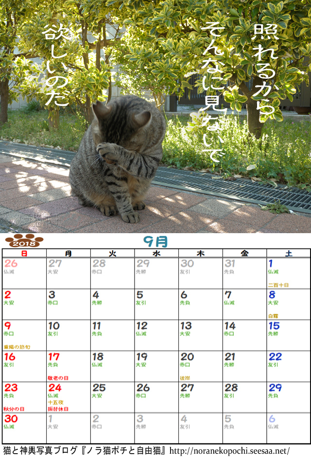 ぼやきカレンダー9月.jpg