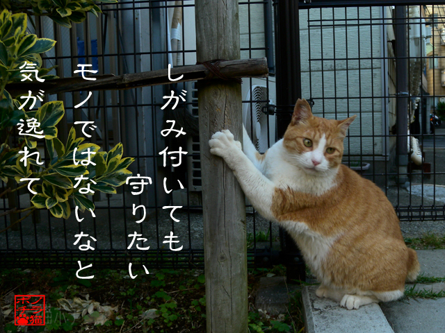もっと気になるコトあるにゃん.jpg