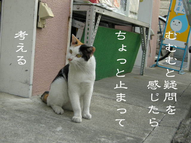 わからないにゃあ.jpg