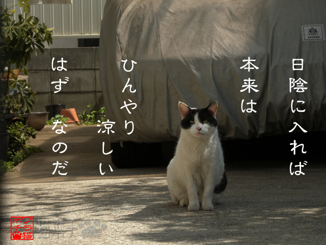 エアコンの排気が熱気を作るのにゃん.jpg