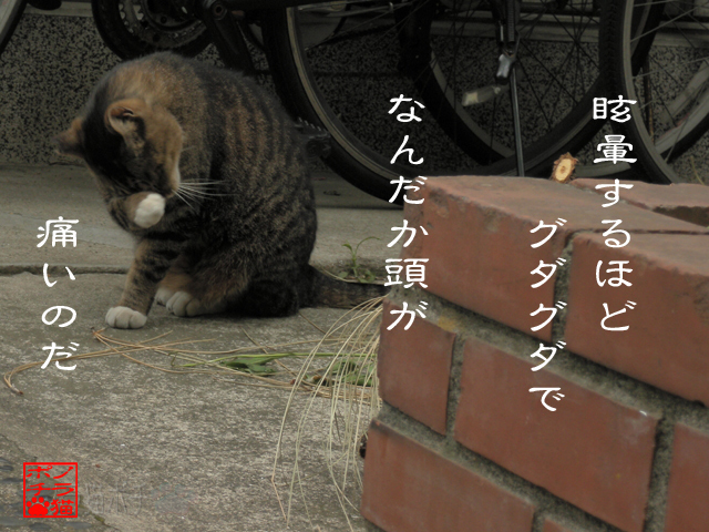エライ人ってなんなのにゃん.jpg