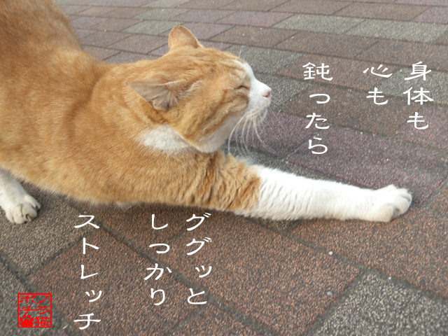 コリの解しは大事だにゃん.jpg
