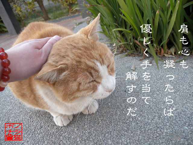 コリは不調の元なのにゃん.jpg