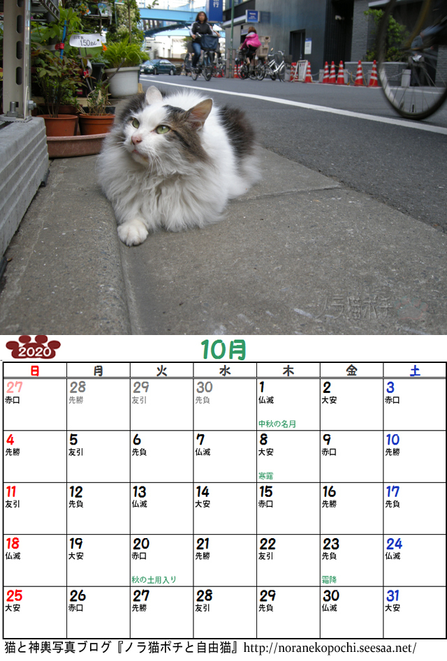 チッチ10月.jpg