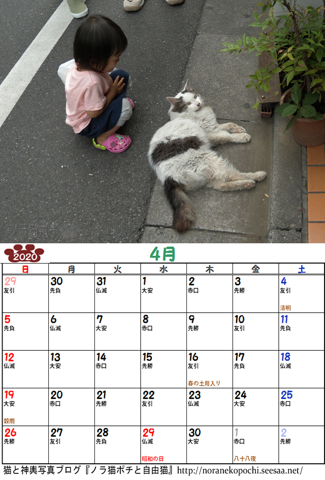 チッチ4月.jpg